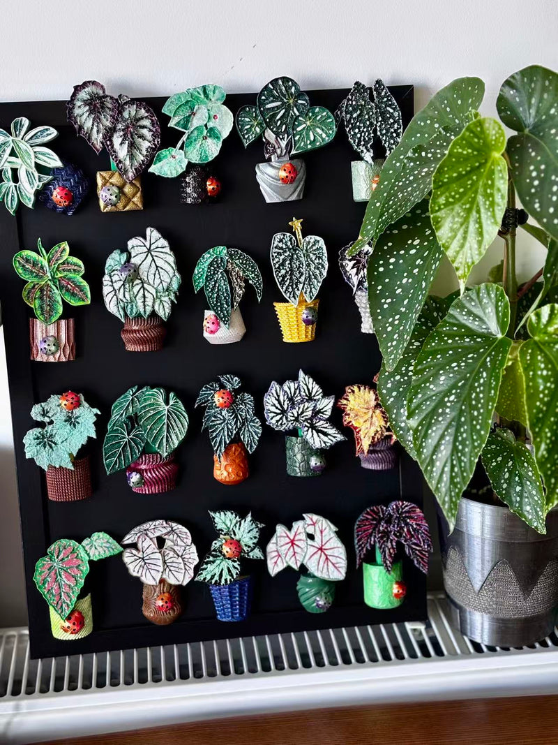 植物配件