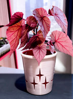 高透气防烂根独创艺术花盆套盆